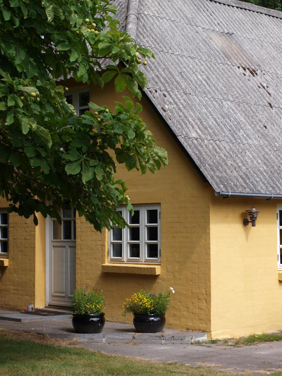 Faedrelandet Ferielejlighed & Turridning Laeso Номер фото